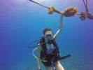 Hawaii Scuba divng 33