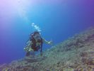 Hawaii Scuba divng 36