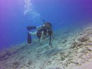 Hawaii Scuba divng 37