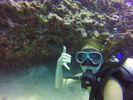 Hawaii Scuba divng 43