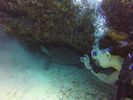 Hawaii Scuba divng 44