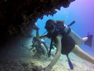 Hawaii Scuba divng 53