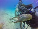 Hawaii Scuba divng 56