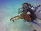 Hawaii Scuba divng 59