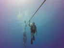 Hawaii Scuba divng 05