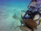 Hawaii Scuba divng 62