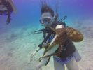 Hawaii Scuba divng 63