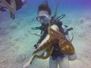 Hawaii Scuba divng 64