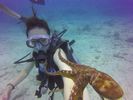 Hawaii Scuba divng 67