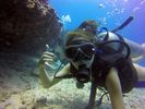 Hawaii Scuba divng 69