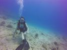 Hawaii Scuba divng 70