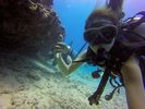 Hawaii Scuba divng 71