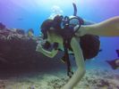 Hawaii Scuba divng 72