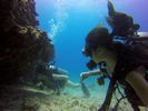 Hawaii Scuba divng 73