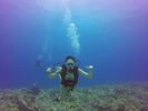 Hawaii Scuba divng 75