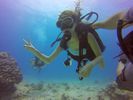 Hawaii Scuba divng 78