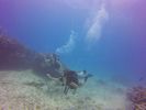 Hawaii Scuba divng 79