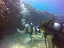 Hawaii Scuba divng 80