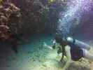 Hawaii Scuba divng 84