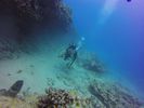 Hawaii Scuba divng 86