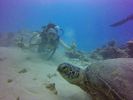 Hawaii Scuba divng 89