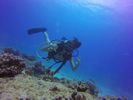 Hawaii Scuba divng 92