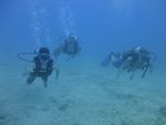 Hawaii Scuba divng 12