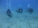 Hawaii Scuba divng 14