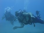 Hawaii Scuba divng 17