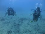 Hawaii Scuba divng 18