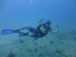 Hawaii Scuba divng 19