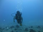 Hawaii Scuba divng 20