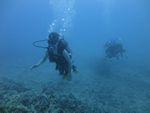 Hawaii Scuba divng 21