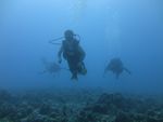 Hawaii Scuba divng 22