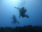 Hawaii Scuba divng 23