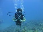 Hawaii Scuba divng 24