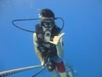 Hawaii Scuba divng 25