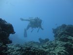 Hawaii Scuba divng 36