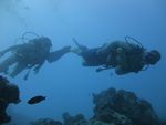 Hawaii Scuba divng 37