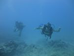 Hawaii Scuba divng 38