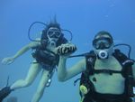 Hawaii Scuba divng 40