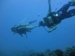 Hawaii Scuba divng 42