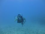 Hawaii Scuba divng 44