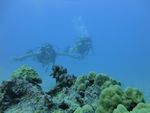 Hawaii Scuba divng 45