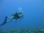 Hawaii Scuba divng 51