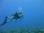 Hawaii Scuba divng 51