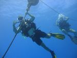 Hawaii Scuba divng 10