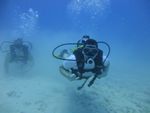 Hawaii Scuba divng 14