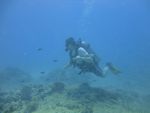 Hawaii Scuba divng 17