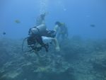 Hawaii Scuba divng 20